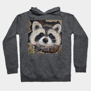 Raccoon Painting Hoodie